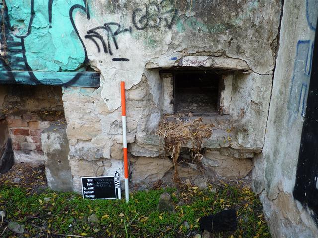 Postans' Cottage, kitchen (north-west room), oven