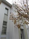 north elevation detail
