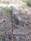 Bilgoman Well 8 - Remnants of Convict depot