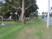 Looking east along Middleton Rd to Lower Cemetery