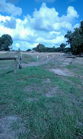 View south-east along eastern boundary fence