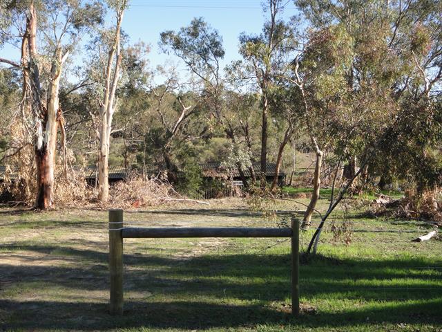 Bushland and Boat shed