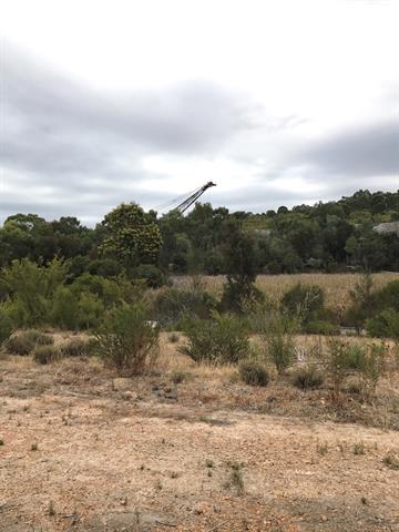 Dragline Excavator