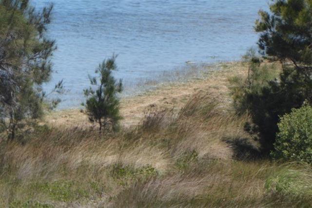 Lake Richmond