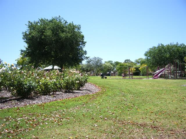 Green Space and Rose Shrubery