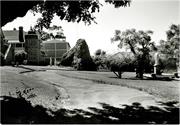 Convent of Mercy - Gardens