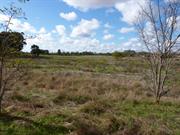 View north-east toward Hendy Road Swamp wetland
