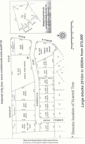 Map showing location of the Scarred Tree