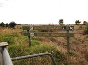 Benger Swamp
