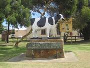 Cow Scultpture