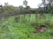 Building 3, possible location of building footprint - view north