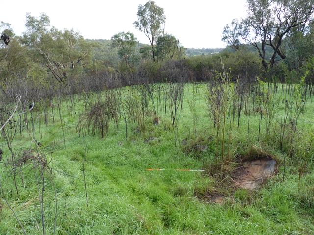 Building 3, possible location of building footprint - view north