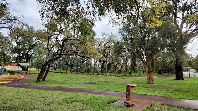 Shepherds Bush Reserve, Kingsley