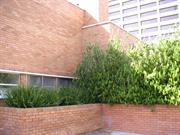 PICT0049.JPG