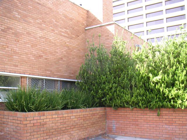 PICT0049.JPG