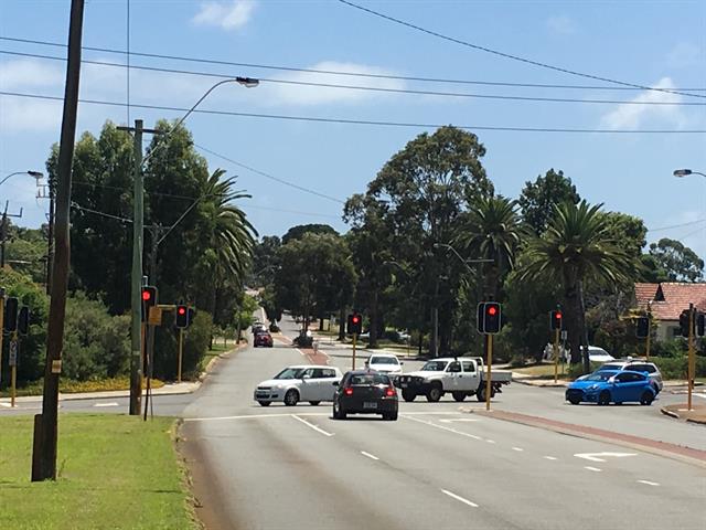 Boulevard Trees