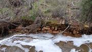 Brook Crossing