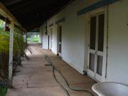 Homestead - front (north) verandah