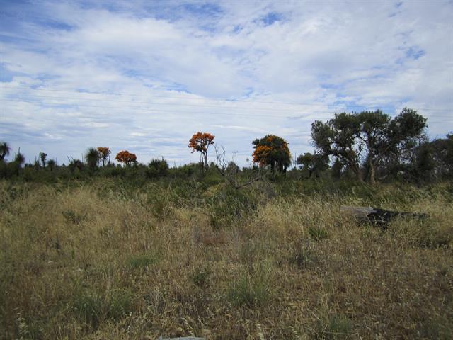 View from Wanneroo Rd