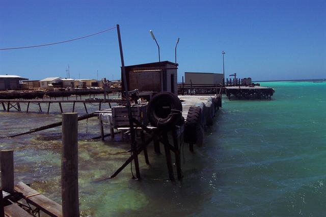 Rat Island 19b jetties N from end