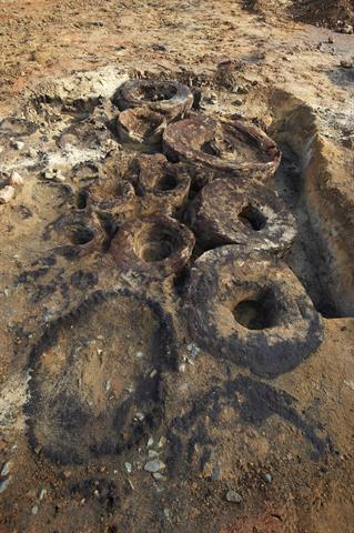 Jarrah sections in situ after excavation