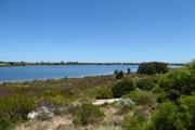 Lake Richmond