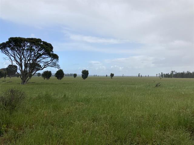 Lake Logue, Eneabba