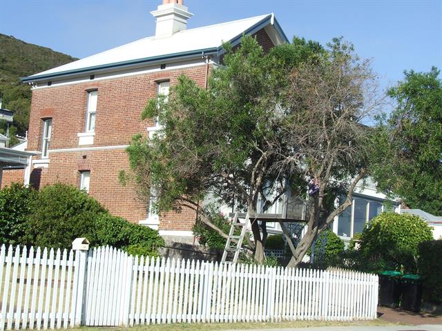 Side Elevation
