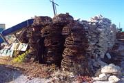 Little Rat Island stone ruins looking N