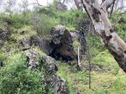 Diamond of the Desert - Cave - 1 Sep 2021 (5)