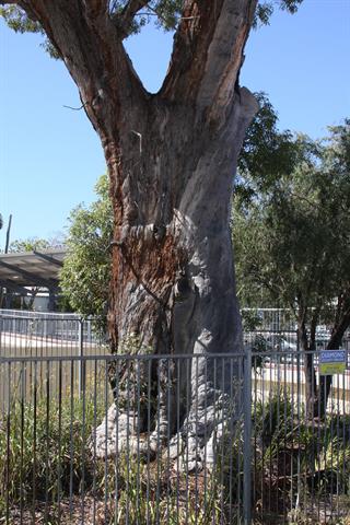 Detailed view