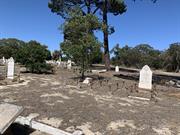 South Cemetery - 'Historical' section showing graves, landscape, sparce trees