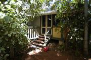 Steps leading to doorway