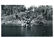 Old bridge jarrah support snapped off in fracture of bridge by floods