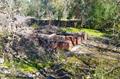 Cardiff Mine Site Entry Remnants