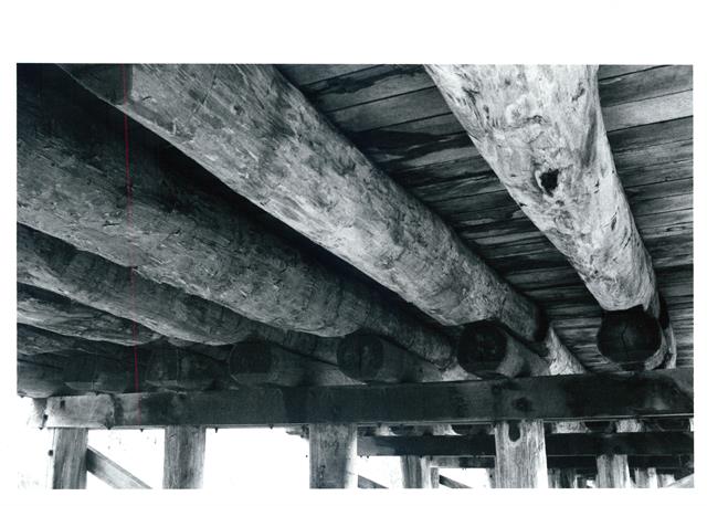 New bridge showing logs supporting pavement