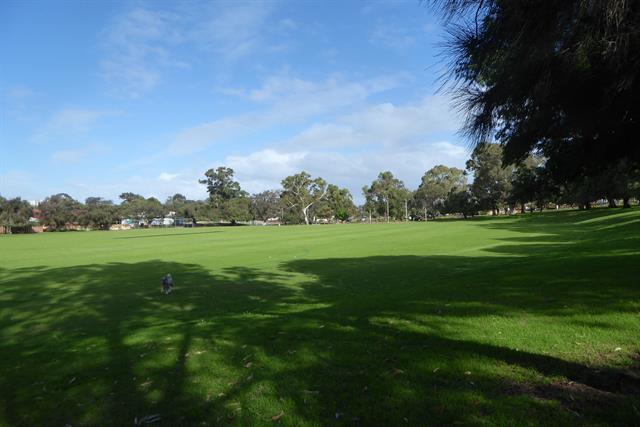 McLean Park Floreat