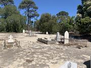 South Cemetery - 'Historical' section showing graves, landscape, mature trees