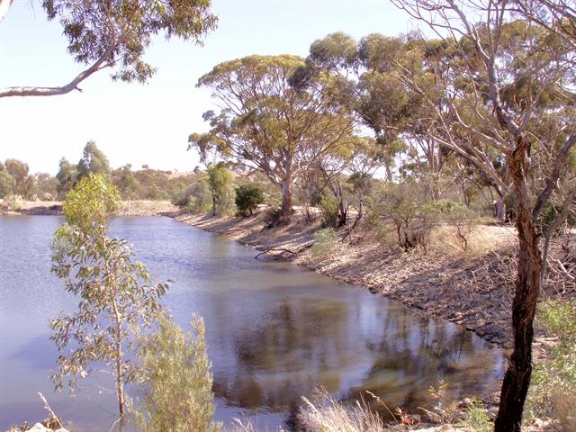 View to north east showing east wall of dam