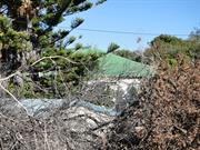 Side of House. obscured by high bushes