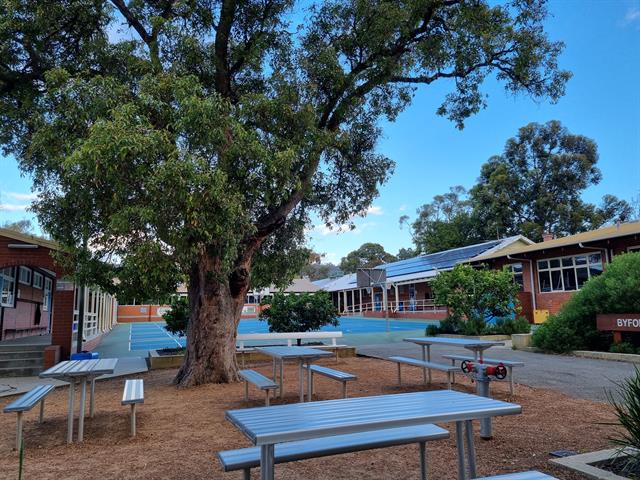 Large tree in foreground, rear of school rooms in background