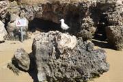 cave2