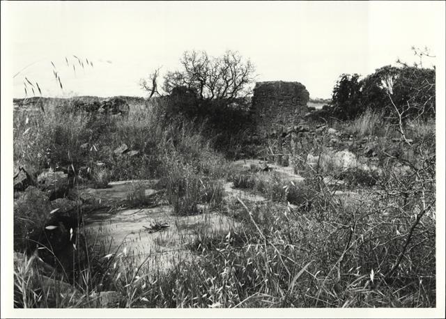 View of ruins of chapel interior