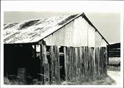 View of portion of old shed