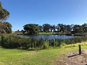 View of Lake
