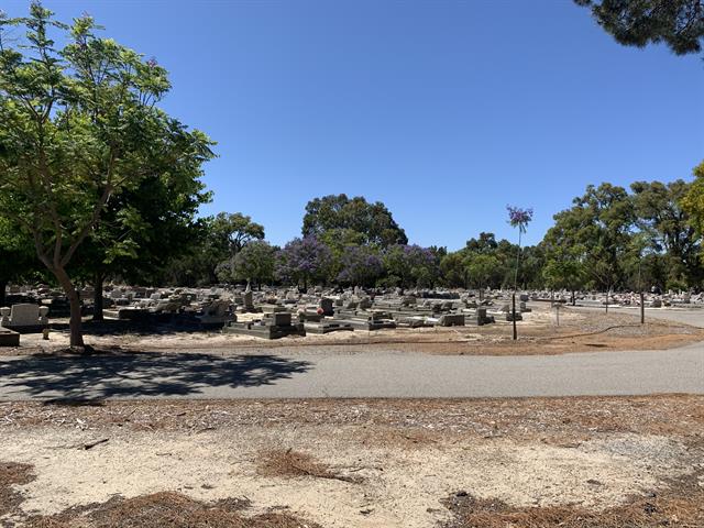 South Cemetery - View of eastern section of graves