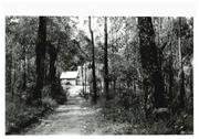 Left side elevation- distant view of building in bush setting