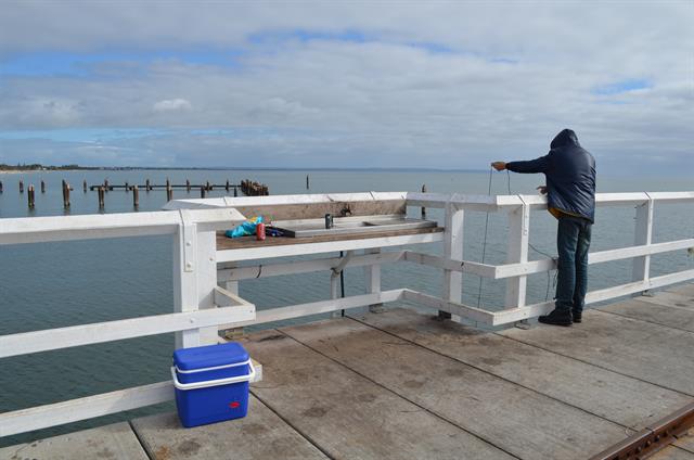 Fish cleaning station- Jetty mark 22