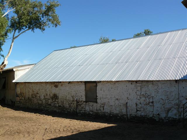 Shearing shed reroofed - south side