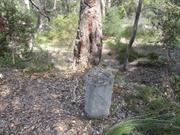 Bilgoman Well 9 - Remnants of Convict depot
